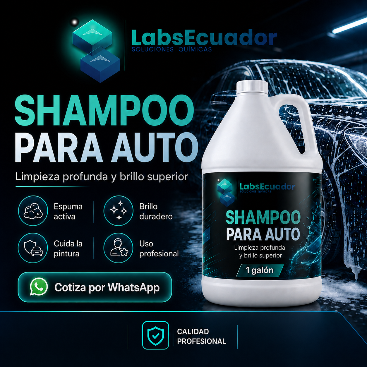 Shampoo para auto